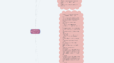 Mind Map: Características bio-psicosociales del adolescente