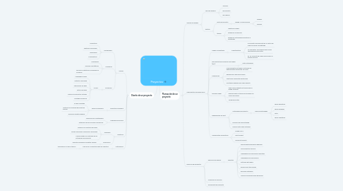 Mind Map: Proyectos