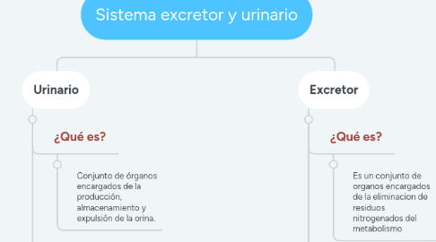 Mind Map: Sistema excretor y urinario