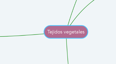 Mind Map: Tejidos vegetales