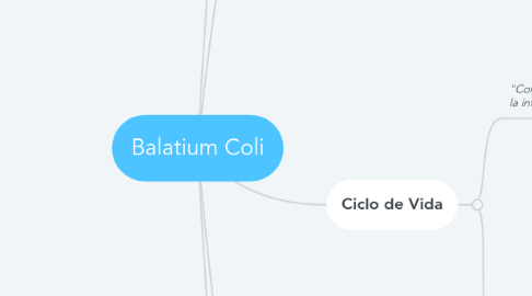 Mind Map: Balatium Coli