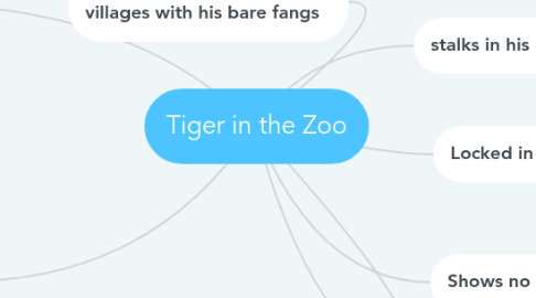 Mind Map: Tiger in the Zoo