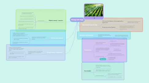 Mind Map: Manejo del riego