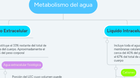 Mind Map: Metabolismo del agua