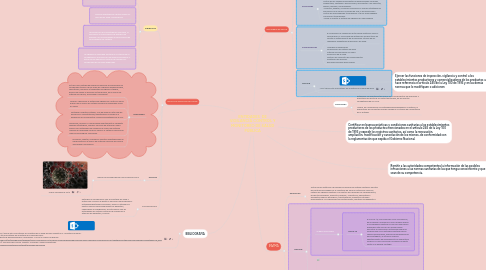 Mind Map: ENTIDADES DE VIGILANCIA CONTROL Y MONITOREO DE SALUD PÚBLICA