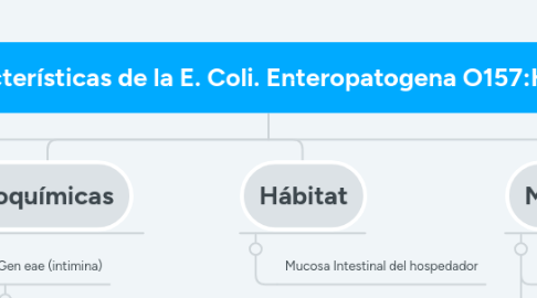 Mind Map: Características de la E. Coli. Enteropatogena O157:H16