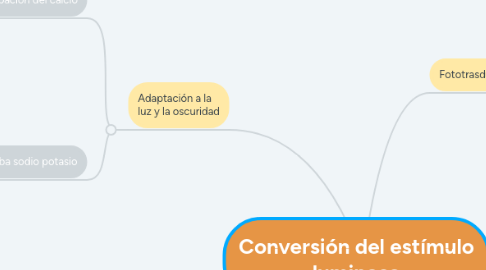 Mind Map: Conversión del estímulo luminoso