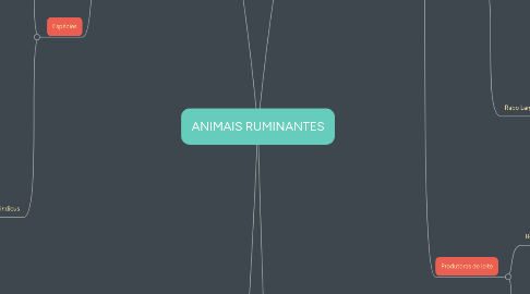 Mind Map: ANIMAIS RUMINANTES