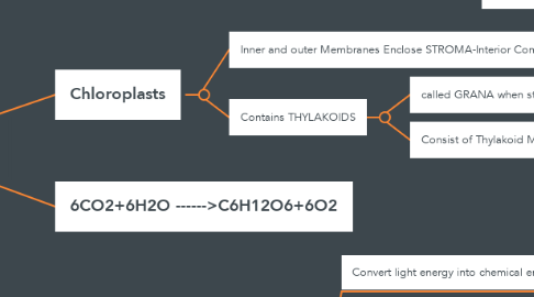 Mind Map: PHOTOSYNTHESIS