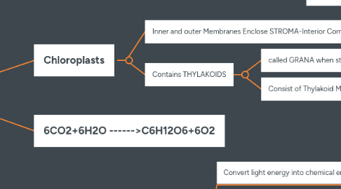 Mind Map: PHOTOSYNTHESIS