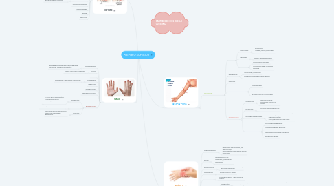 Mind Map: MIEMBRO SUPERIOR