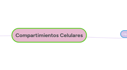 Mind Map: Compartimientos Celulares