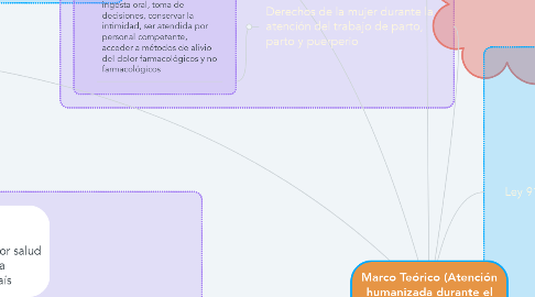 Mind Map: Marco Teórico (Atención humanizada durante el trabajo de parto, parto y puerperio)