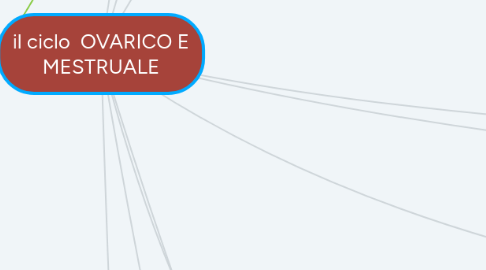 Mind Map: il ciclo OVARICO E MESTRUALE