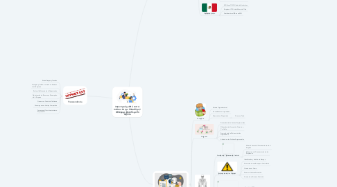 Mind Map: Importancia del Control Interno en las Pequeñas y Medianas Empresas en México