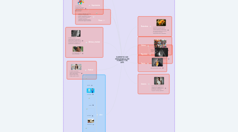 Mind Map: ELEMENTOS QUE EMOCIONAN AL SER HUMANO Y DEL ARTE