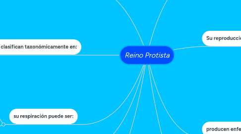 Mind Map: Reino Protista