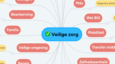 Mind Map: Veilige zorg