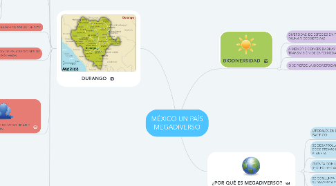 Mind Map: MÉXICO UN PAÍS MEGADIVERSO