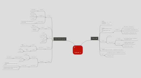 Mind Map: Culturas