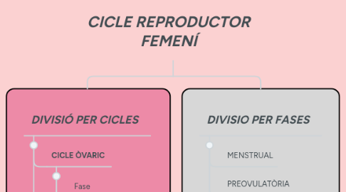 Mind Map: CICLE REPRODUCTOR FEMENÍ