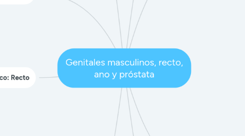 Mind Map: Genitales masculinos, recto, ano y próstata