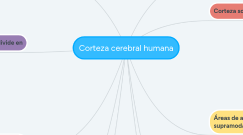 Mind Map: Corteza cerebral humana