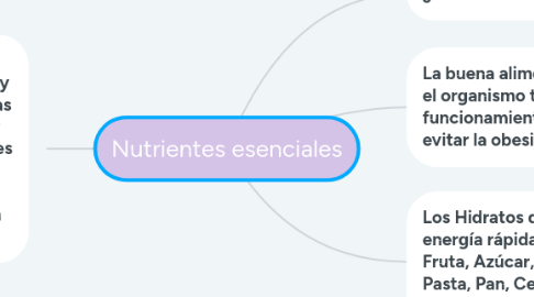 Mind Map: Nutrientes esenciales