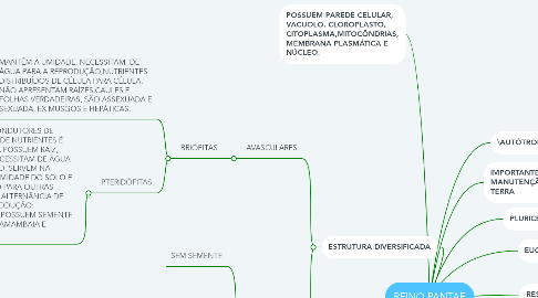 Mind Map: REINO PANTAE