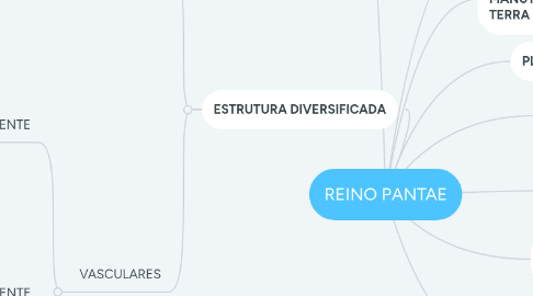 Mind Map: REINO PLANTAE