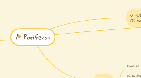 Mind Map: Poriferos