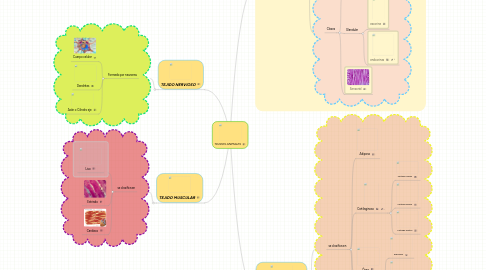 Mind Map: TEJIDOS ANIMALES