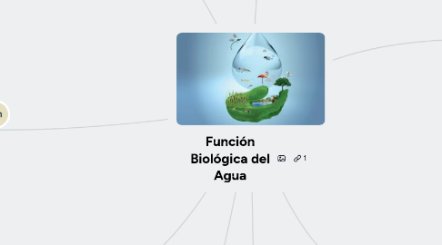 Mind Map: Función Biológica del Agua