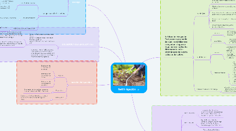 Mind Map: fertiirrigación