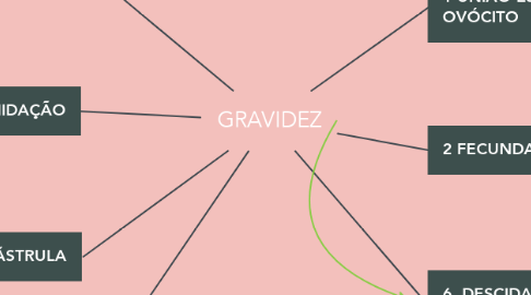 Mind Map: GRAVIDEZ