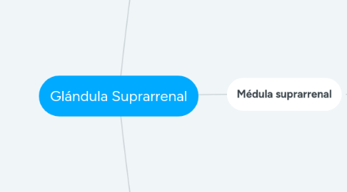 Mind Map: Glándula Suprarrenal