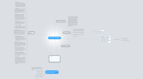 Mind Map: CONTROL DE INVENTARIOS