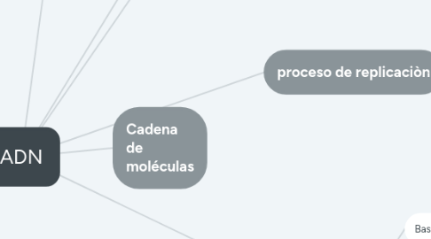 Mind Map: ADN