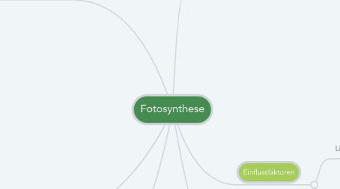 Mind Map: Fotosynthese