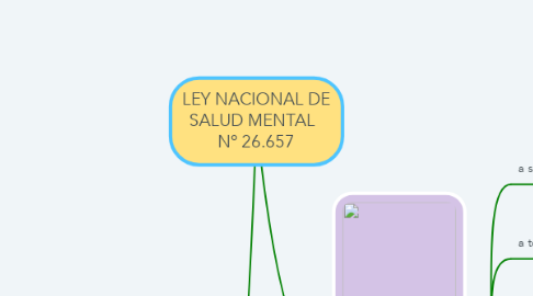 Mind Map: LEY NACIONAL DE SALUD MENTAL   Nº 26.657