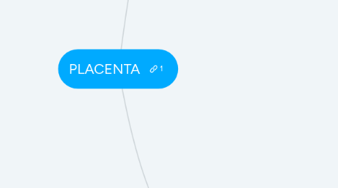 Mind Map: PLACENTA