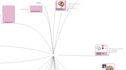 Mind Map: NEUROCIRUGIA