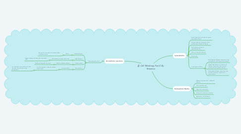 Mind Map: Cell Mindmap Part 2 By Yessenia