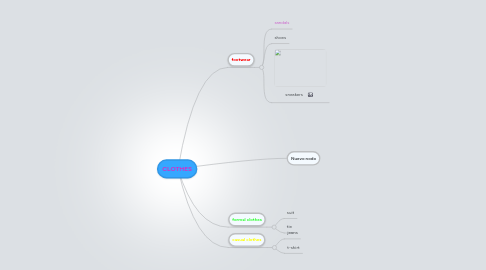 Mind Map: CLOTHES