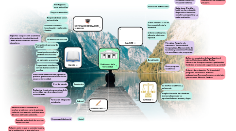 Mind Map: Pertinencia de la Universidad