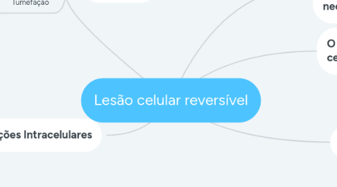 Mind Map: Lesão celular reversível