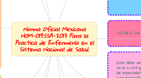 Mind Map: Norma Oficial Mexicana NOM-019.SSA-2013 Para la Practica de Enfermería en el Sistema Nacional de Salud.