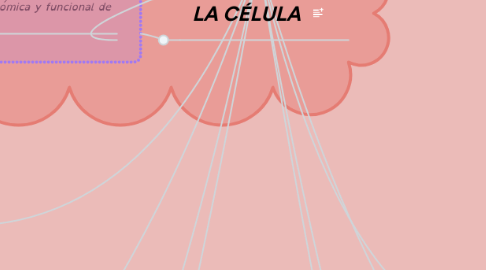 Mind Map: NEUROFISIOLOGIÁ BÁSICA