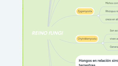 Mind Map: REINO fUNGI