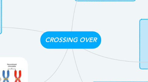 Mind Map: CROSSING OVER